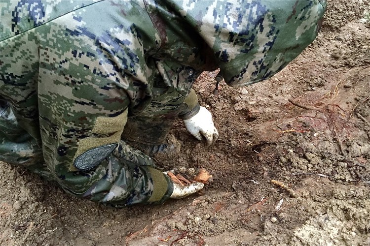 Slika